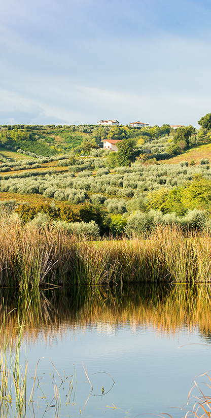 Golf Il Cerreto di Miglianico, foto del campo 2