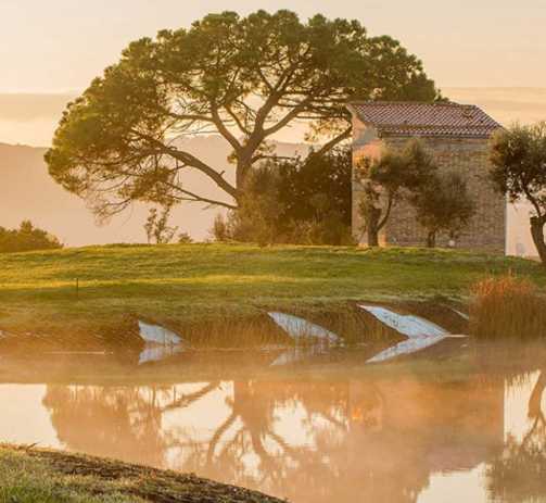 Il percorso del Golf Il Cerreto di Miglianico tra gli uliveti